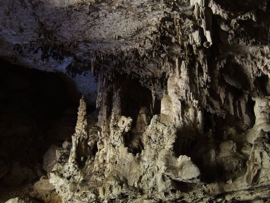 An der Hoehlendecke waren die verschiedensten Fledermausarten vertreten