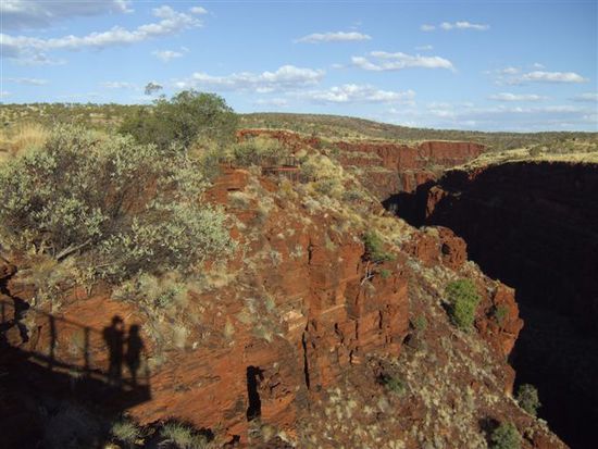 Oxer Lookout