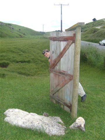 Gehts hier zu den Clifden Caves?