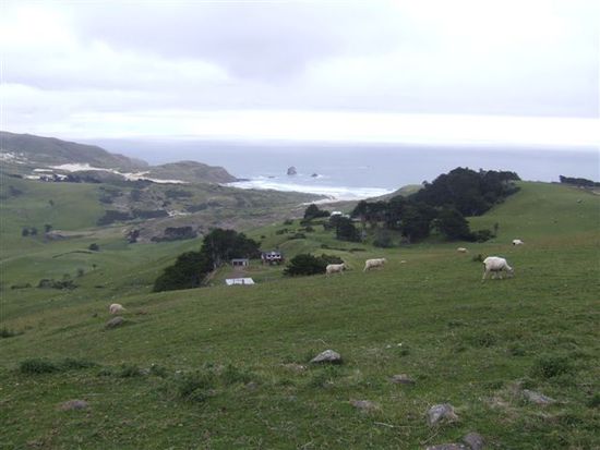 So schaut in Neuseeland der Grund EINES Farmers aus!