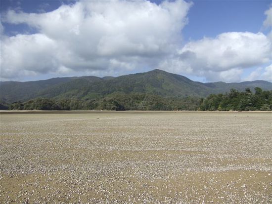 ...am richtigen Ort zu stehen:
Awaroa Inlet