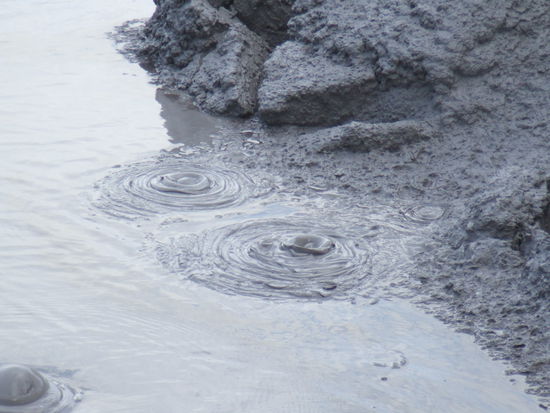 Manche Mudpools werden auch Frogpools genannt...