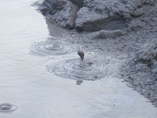 ...jetzt wissen wir warum! 