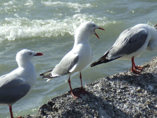 ...andere schon wieder am Durchdrehen sind!