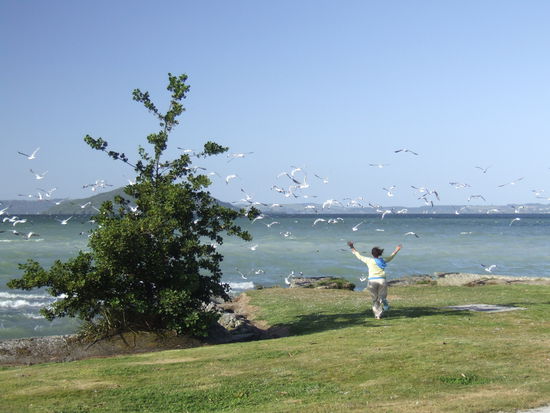 Ich will ihren Kreislauf mal wieder ein wenig in Schwung bringen und verscheuche sie, was...