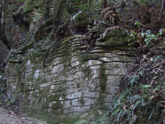 Mal wieder Lust auf Pfannkuchen?