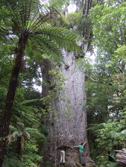 "Zu acht koennt sichs vielleicht ausgehn!"
