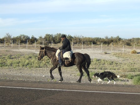 Gaucho am Weg