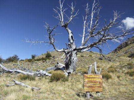 "Monument to a careless Trekker" steht auf dem Schild vor dem verbrannten Baum, verursacht durch eine Zigarette