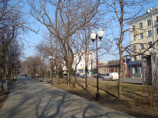 Die schöne Allee namens Krasnaya Strasse bildet eine Längsachse durch Krasnodar, mit Park zwischen den Fahrbahnen und Trolleybussen