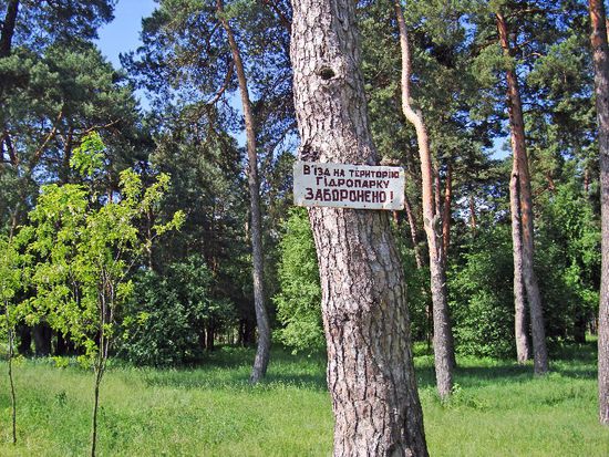 Rauchen im Wald ist bei Trockenheit verboten. Küssen im Wald ist erlaubt: Im Hydro-Park