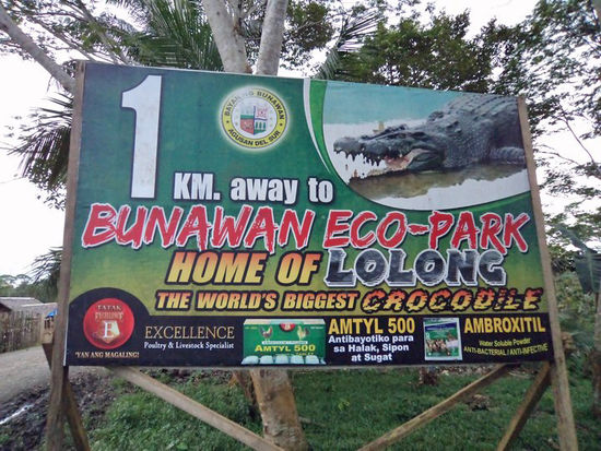 Am National Highway in Bunawan