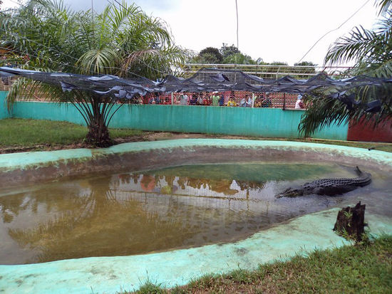 Hier sieht man die vielen Besucher im Hintergrund.
