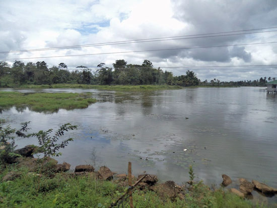 Der andere Teil dieses Tümpels.