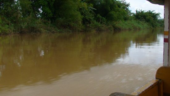 Brauner Nebenfluss des Agusan River