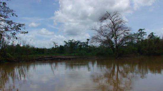 Es wird immer ursprünglicher und wilder.