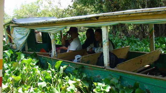 Auch ein anderes Touristenboot kämpft sich durch die "grüne Hölle". Erstaunlicherweise keine Mosquitos!!!