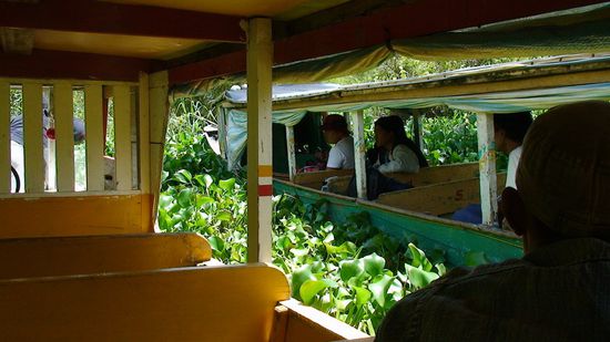 Wir quälen uns durch den Sumpfkanal.