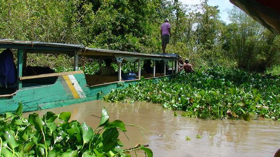 Harter Job für die Bootsleute, aber sie packen es.