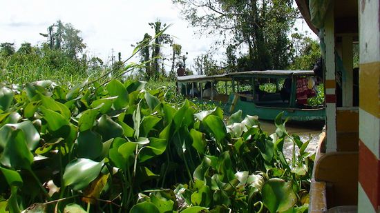 Was für eine abenteuerliche Fahrt!