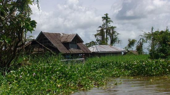Hier erreichen wir die 16 Flosshütten der Manobos am Lake Mihaba.