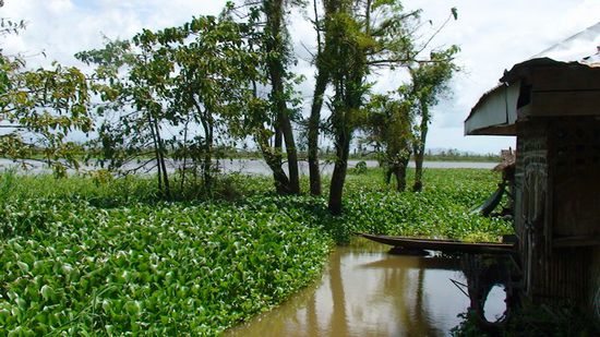 Hinten sieht man einen Teil des Lake Mihaba