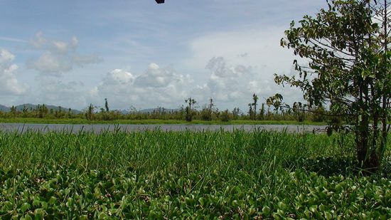 Im Lake Mihaba gibt es immer noch freilebende Krokodile.
