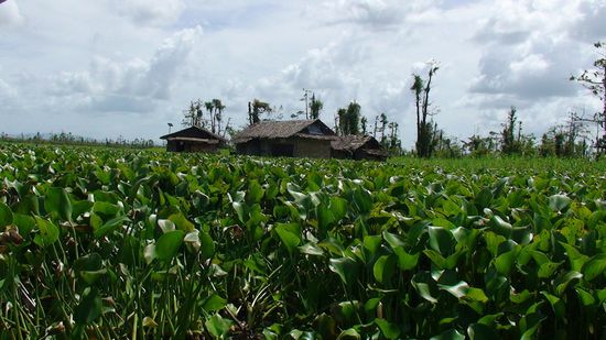 Die Flosshütten der Manobos