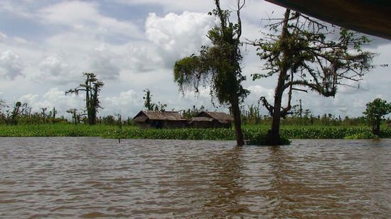 Wir fahren zu der Stelle des Lake Mihaba, wo Lolong Rowena tödlich attackierte.