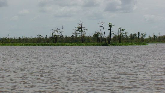 Vorne rechts an der kleinen Insel im See Mihaba geschah es.
