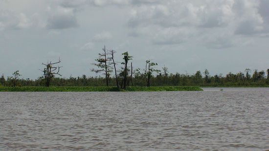 Noch ein Foto jenes denkwürdigen Tatorts.