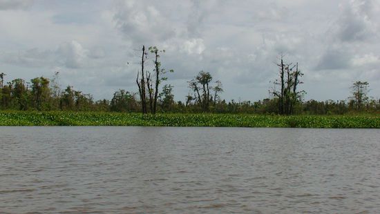 Ich fotografiere lieber das Ufer des Sees.