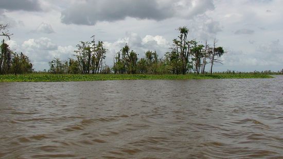 Dieser windungsreiche Lake Mihaba ist größer als erst zu sehen.