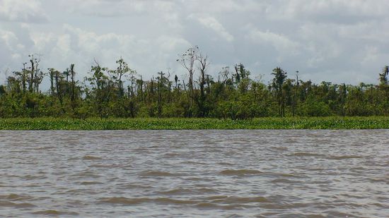 Merkwürdig, wie sich die Farbe des Wassers immer wieder ändert, mal klar, mal braun ...