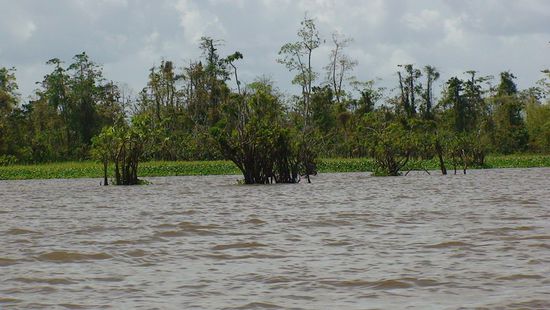 Wir beenden die 40 Minuten Rundfahrt auf dem Lake Mihaba.