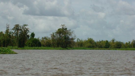 Bye bye, Lake Mihaba.