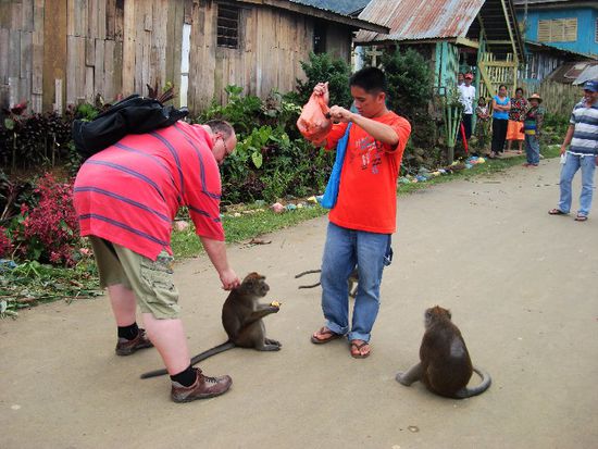 Freilaufende zahme Affen und Menschen, die weder Schweine- noch Rindfleisch, wohl aber Hähnchenfleisch und Fisch nebst Reis, Gemüse und Obst verspeisen. Kein Alkohol!