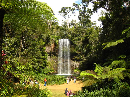In den Tabellands: Rainforest &amp; Waterfall