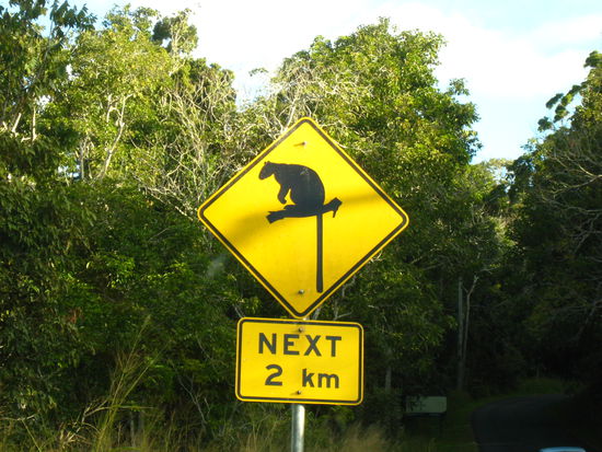 Be carefull, when you drive!