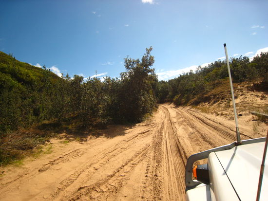 Auf Moreton Island (drittgroesste Sandinsel der Welt)