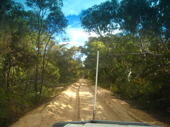 .. und durch den "Dschungel"