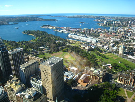 Blick vom Sydney Tower Richtung Manly