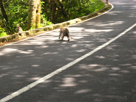 Vorsicht bei seltenen Strassenpassanten!