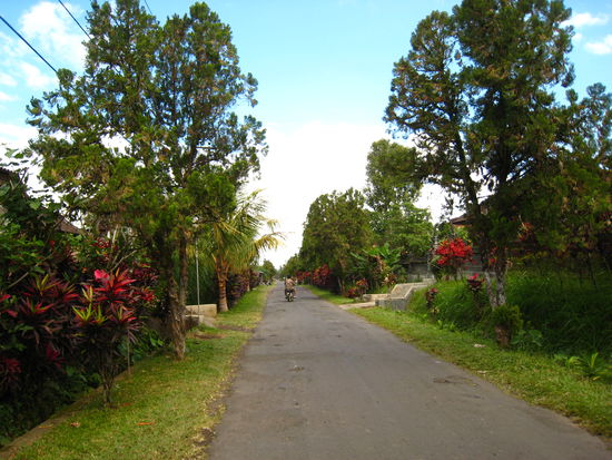 Landstrasse abseits der Hauptverkehrsroute.