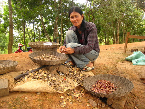 Mandeln - werden anschliessend geröstet!
