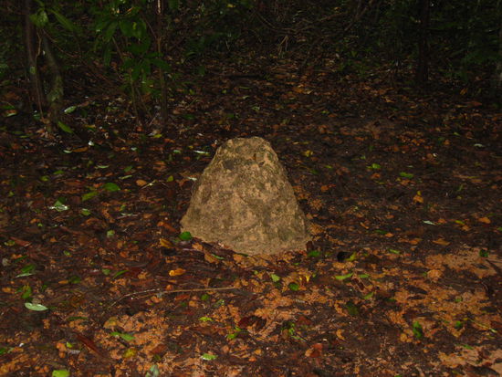 Ein Ameisenhuegel - nein, ein Luftschacht!