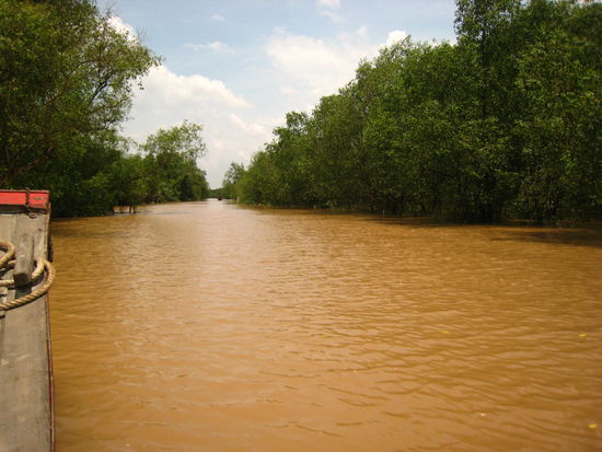 Im Mekong Delta unterwegs