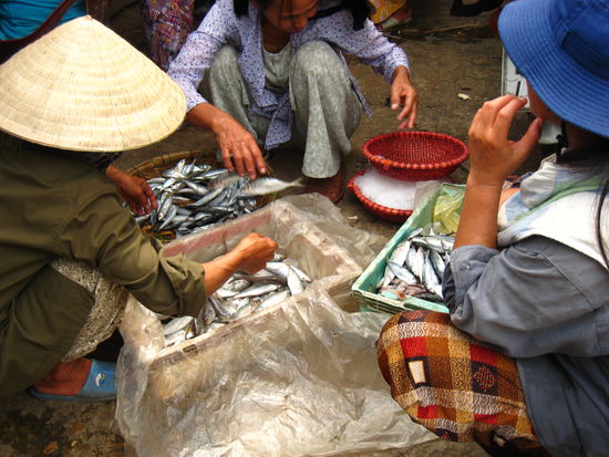 Am Fiscmarkt in Hoi An