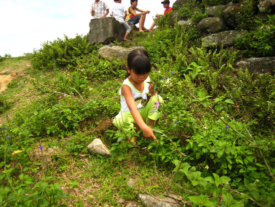 eine friedliche Welt heute!