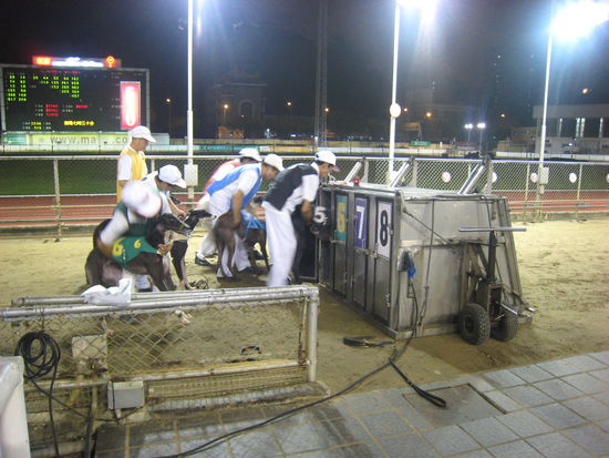 ... hinein in die Box!